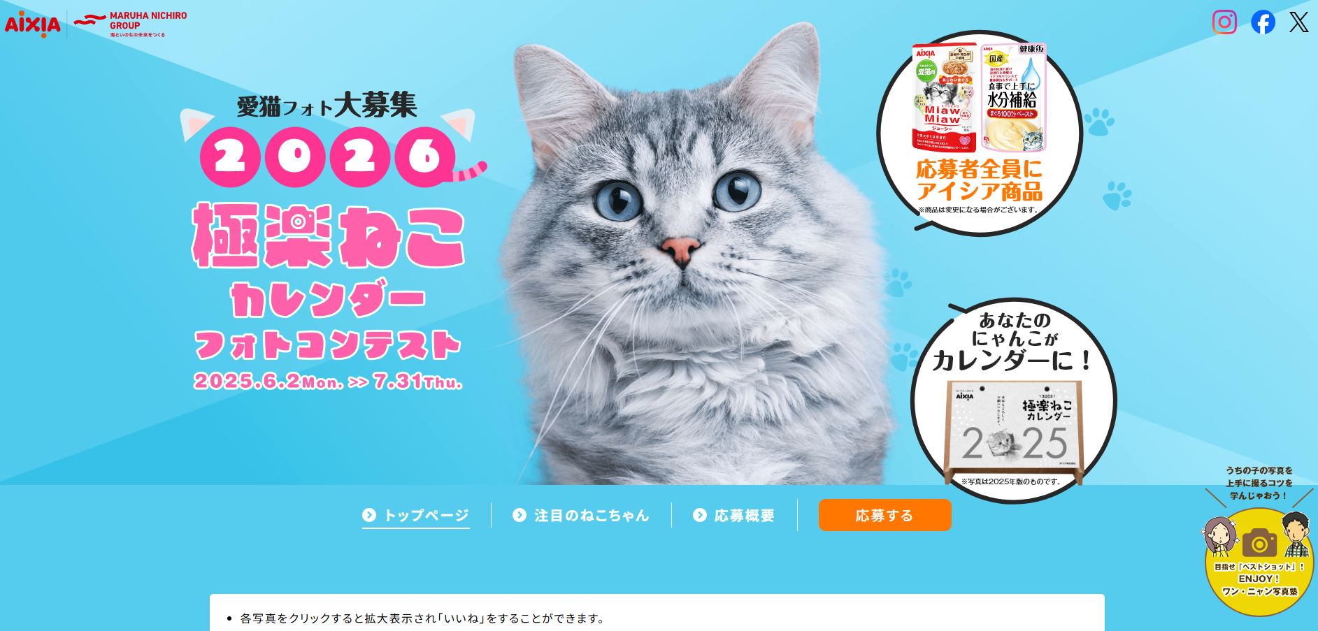 極楽ねこカレンダーフォトコンテスト2026